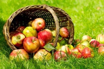 panier_de_pommes_c_nitr_-_fotolia.com_