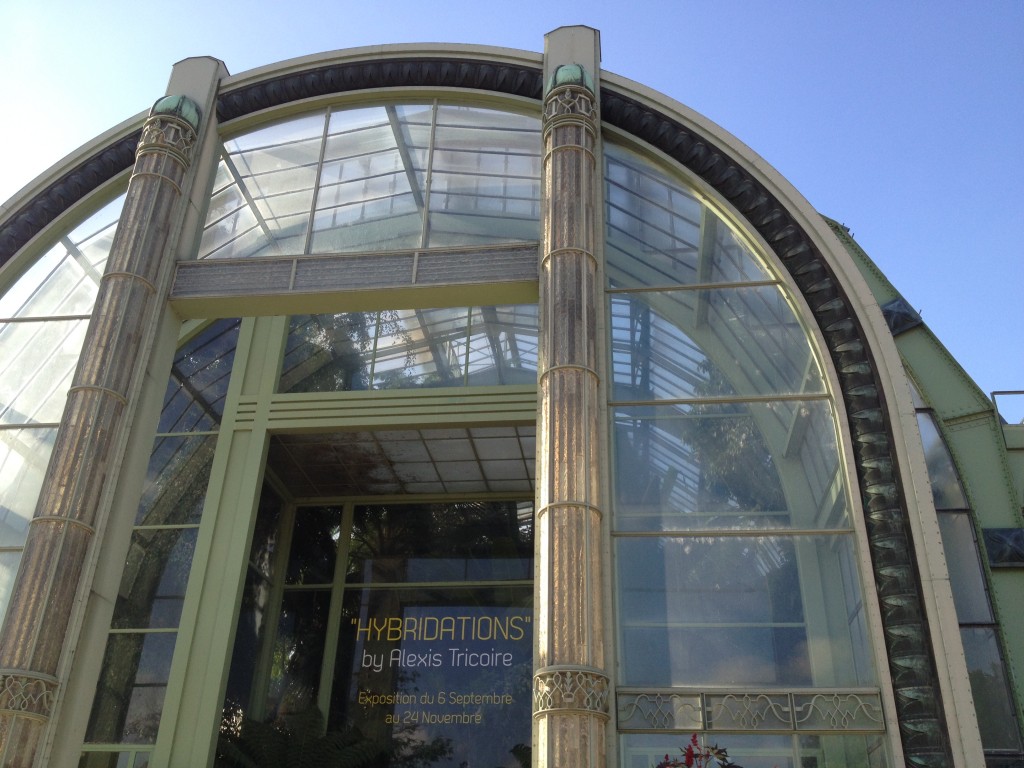 Voyage dans les Grandes Serres du Jardin des Plantes