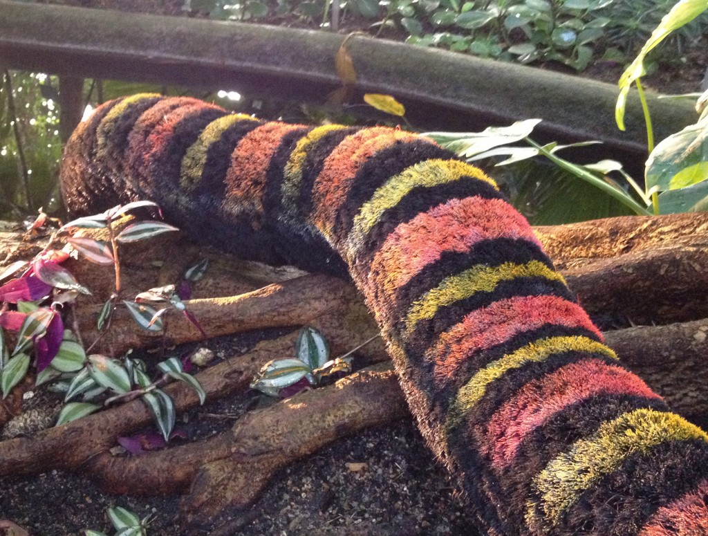 Voyage dans les Grandes Serres du Jardin des Plantes