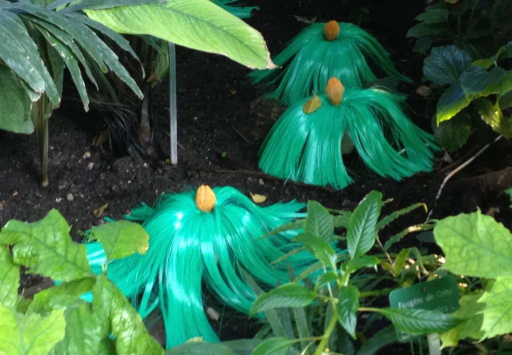 Voyage dans les Grandes Serres du Jardin des Plantes