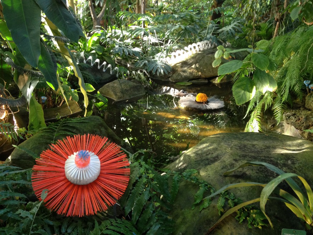 Voyage dans les Grandes Serres du Jardin des Plantes