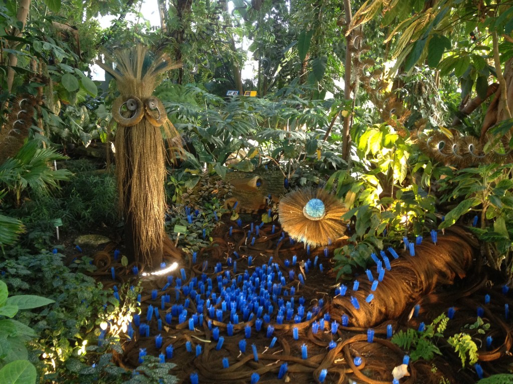 Voyage dans les Grandes Serres du Jardin des Plantes