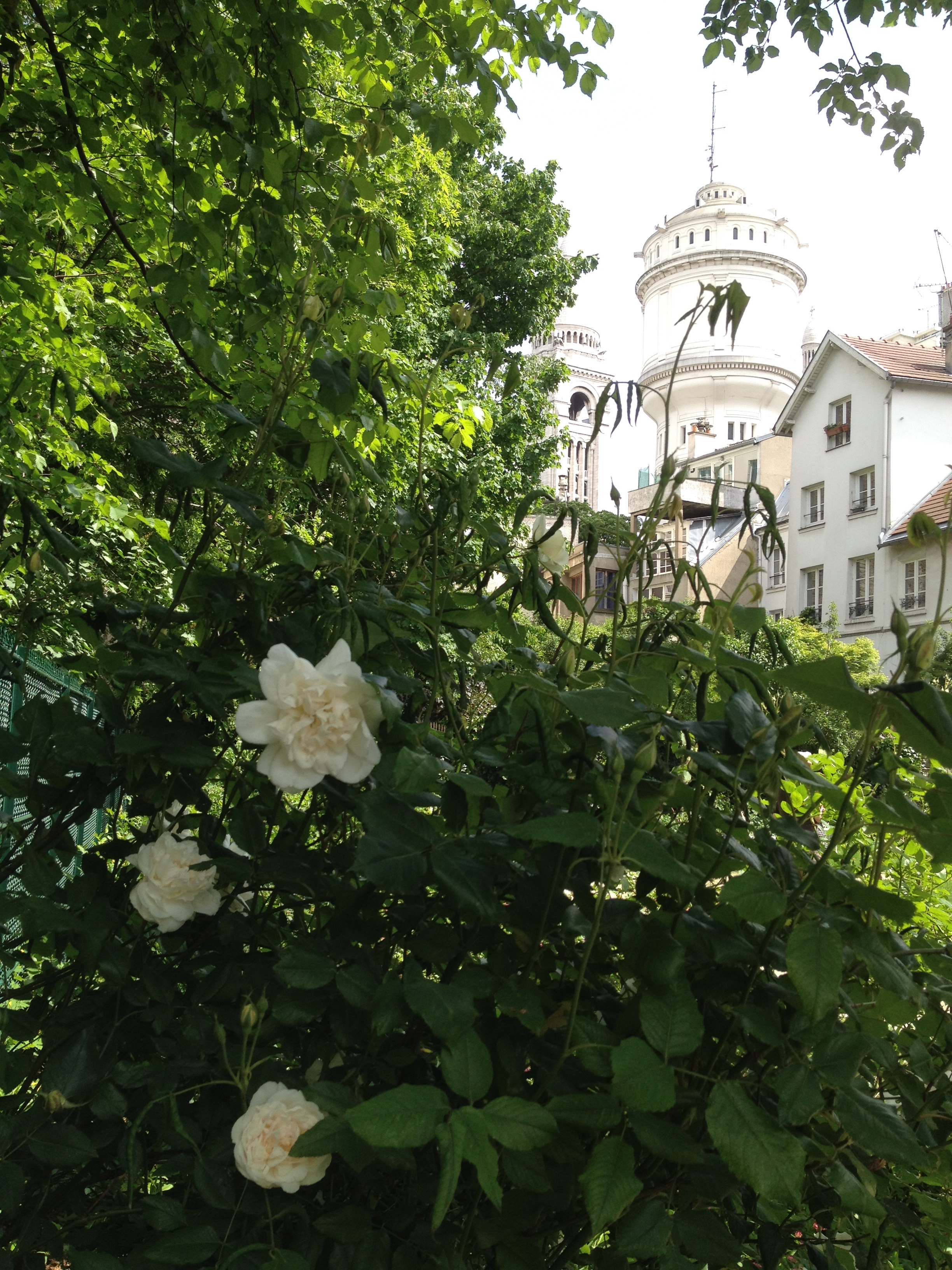 montmartre-jardins-renoir-pds13